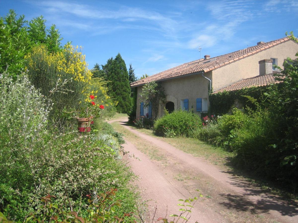 Les Pierres Blanches Bed & Breakfast Bonneuil-Matours Luaran gambar